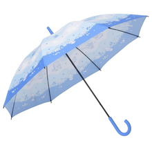 Cargar imagen en el visor de la galería, Paraguas Mágico tipo agua