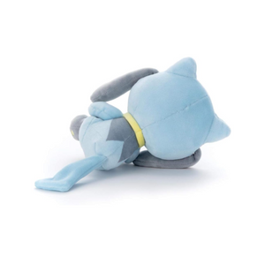 Riolu Sleep