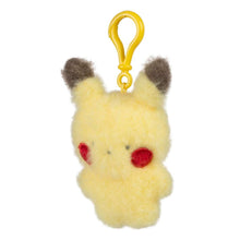 Cargar imagen en el visor de la galería, Pre-Orden Pokémon Friends Plush Llaveros
