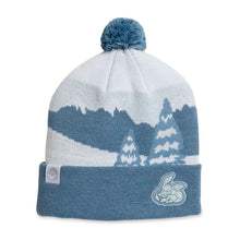 Cargar imagen en el visor de la galería, Pokemon Navidad 2025
